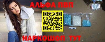 СК Гатчина