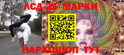 СК Гатчина