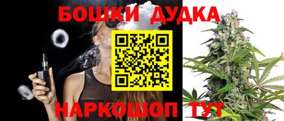 СК Гатчина