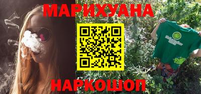 СК Гатчина
