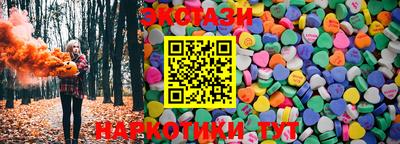 СК Гатчина